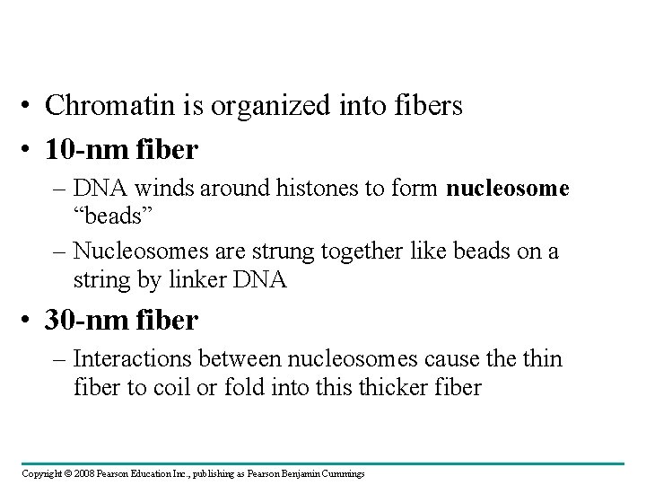  • Chromatin is organized into fibers • 10 -nm fiber – DNA winds