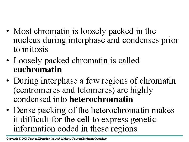  • Most chromatin is loosely packed in the nucleus during interphase and condenses
