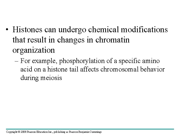  • Histones can undergo chemical modifications that result in changes in chromatin organization