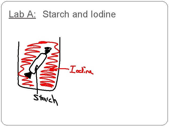 Lab A: Starch and Iodine 