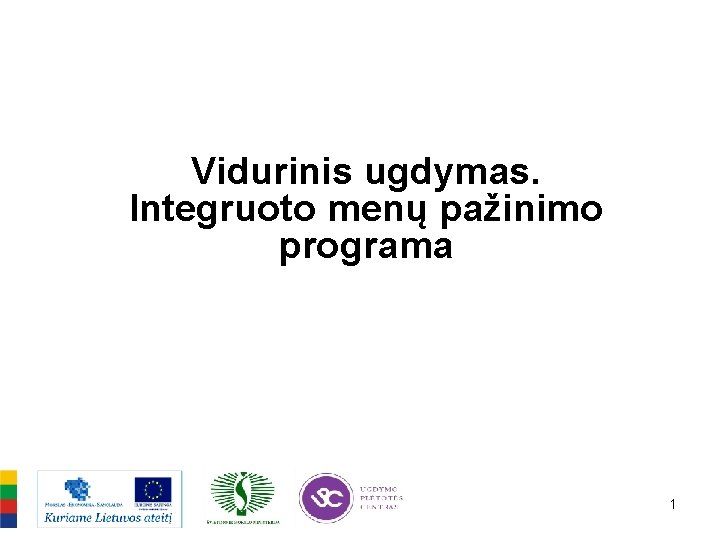 Vidurinis ugdymas. Integruoto menų pažinimo programa IZIiiiiii 1 