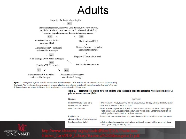 Adults http: //www. idsociety. org/uploaded. Files/IDSA/Guidelines. Patient_Care/PDF_Library/Bacterial%20 Meningitis(1). pdf 