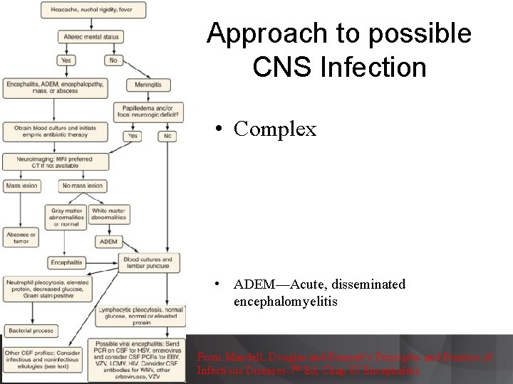 Approach to possible CNS Infection • Complex • ADEM—Acute, disseminated encephalomyelitis From Mandell, Douglas