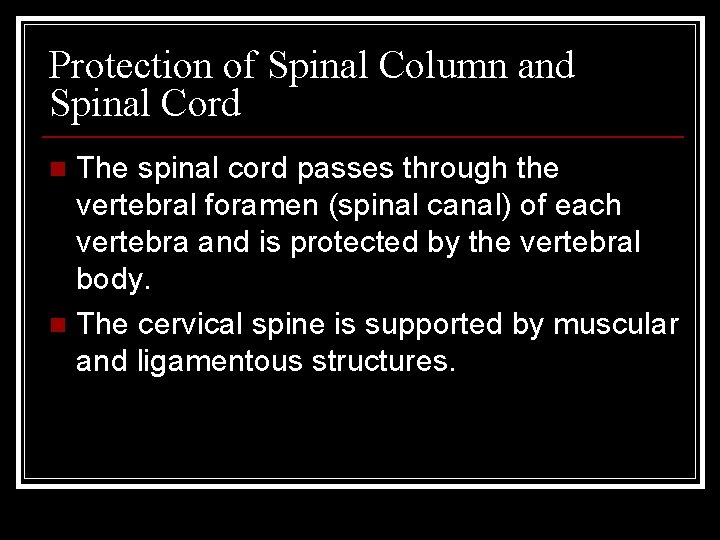 Protection of Spinal Column and Spinal Cord The spinal cord passes through the vertebral