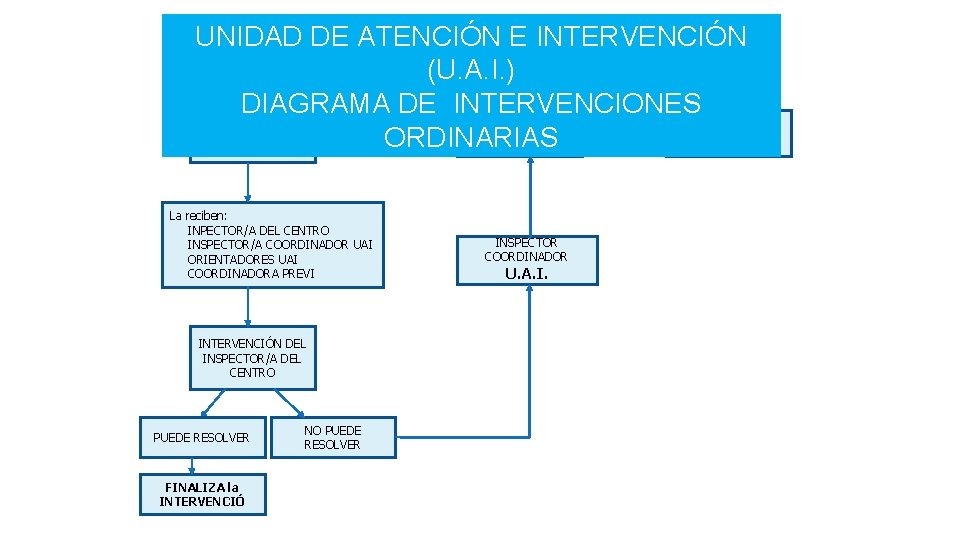 UNIDAD DE ATENCIÓN E INTERVENCIÓN (U. A. I. ) DIAGRAMA DE INTERVENCIONES DIRECTOR/A DEL