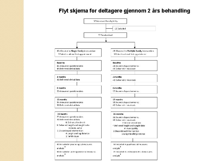 Flyt skjema for deltagere gjennom 2 års behandling 