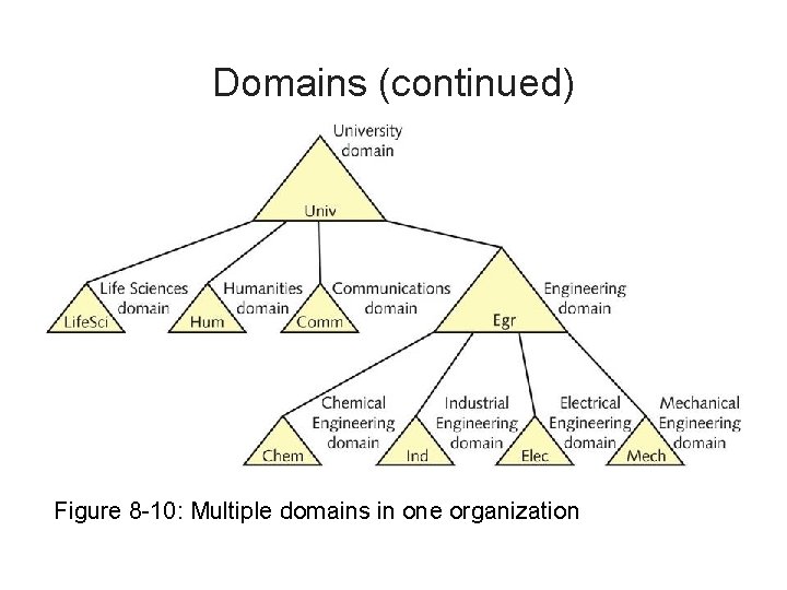 Domains (continued) Figure 8 -10: Multiple domains in one organization 