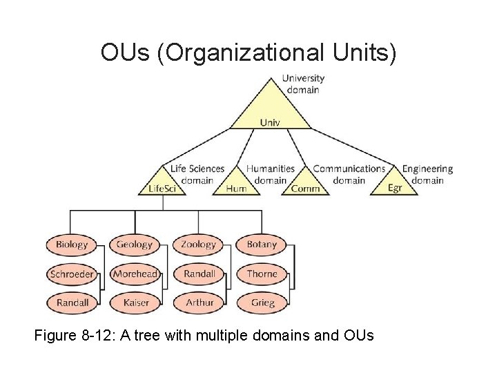 OUs (Organizational Units) Figure 8 -12: A tree with multiple domains and OUs 
