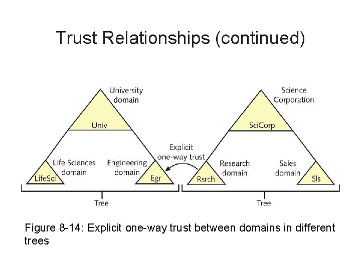 Trust Relationships (continued) Figure 8 -14: Explicit one-way trust between domains in different trees