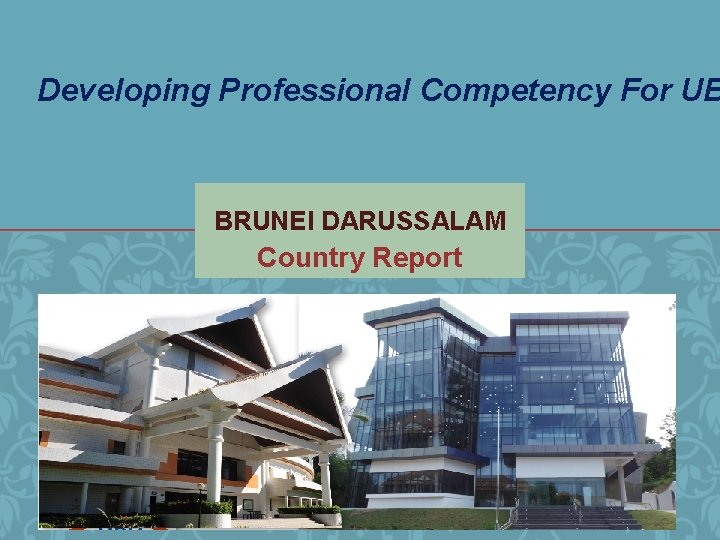 Developing Professional Competency For UB BRUNEI DARUSSALAM Country Report 