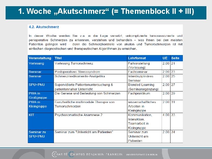 1. Woche „Akutschmerz“ (= Themenblock II + III) 