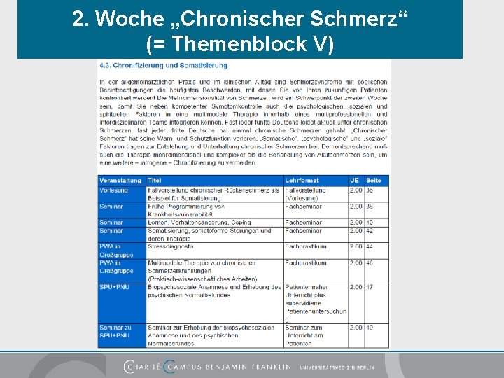 2. Woche „Chronischer Schmerz“ (= Themenblock V) 
