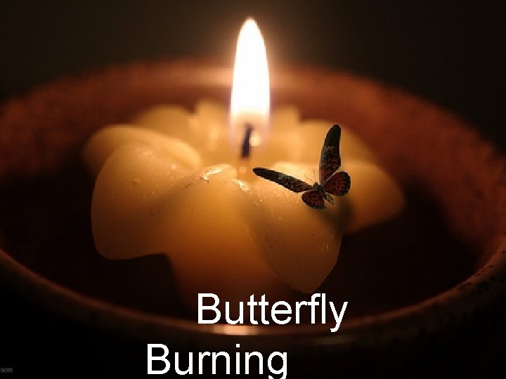 Butterfly Burning 