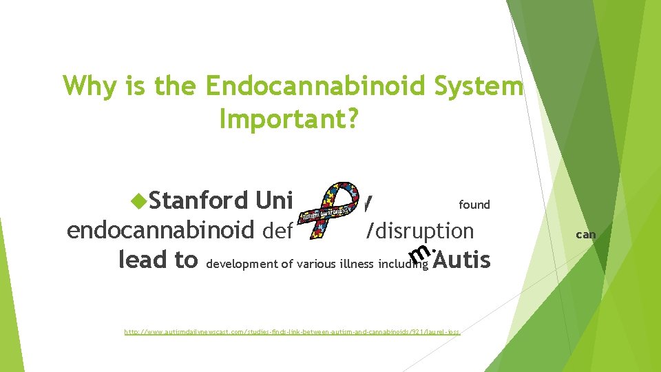 Why is the Endocannabinoid System Important? Stanford University found endocannabinoid deficiency/disruption. m. Autis lead
