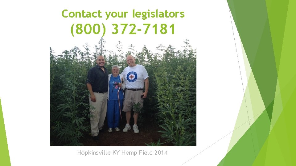 Contact your legislators (800) 372 -7181 Hopkinsville KY Hemp Field 2014 