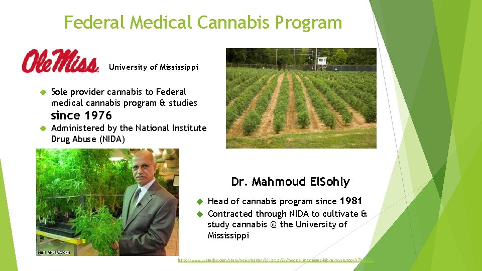 Federal Medical Cannabis Program University of Mississippi Sole provider cannabis to Federal medical cannabis