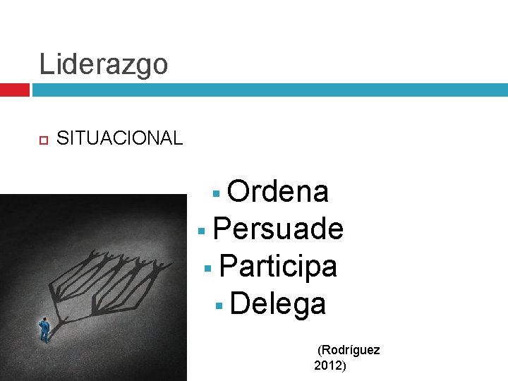 Liderazgo SITUACIONAL § Ordena § Persuade § Participa § Delega (Rodríguez 2012) 