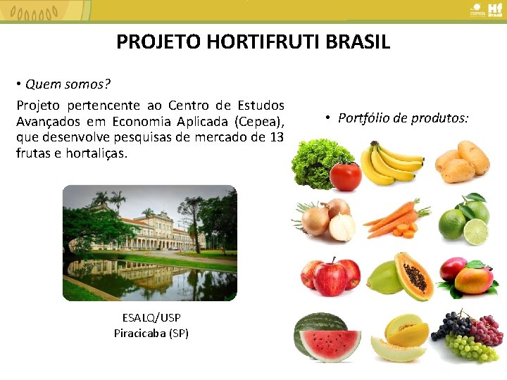 PROJETO HORTIFRUTI BRASIL • Quem somos? Projeto pertencente ao Centro de Estudos Avançados em