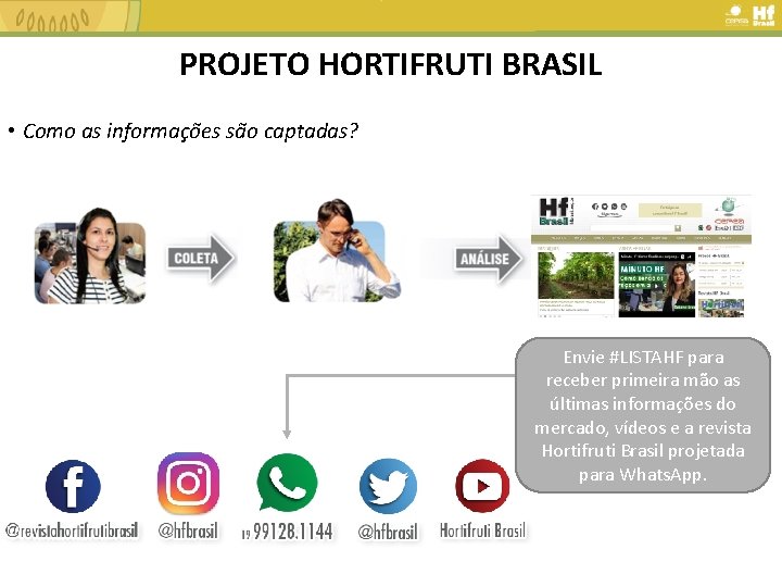 PROJETO HORTIFRUTI BRASIL • Como as informações são captadas? Envie #LISTAHF para receber primeira