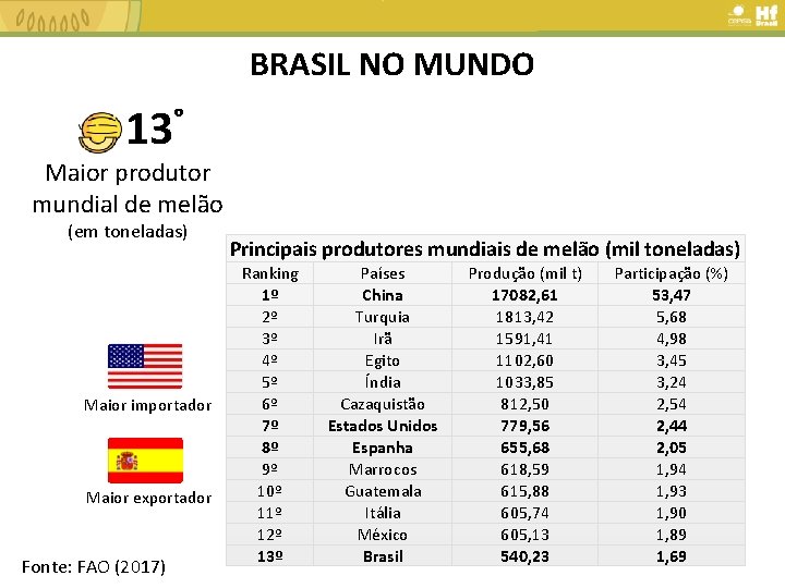 BRASIL NO MUNDO 13° Maior produtor mundial de melão (em toneladas) Maior importador Maior