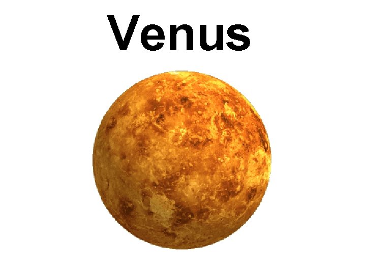 Venus Venus