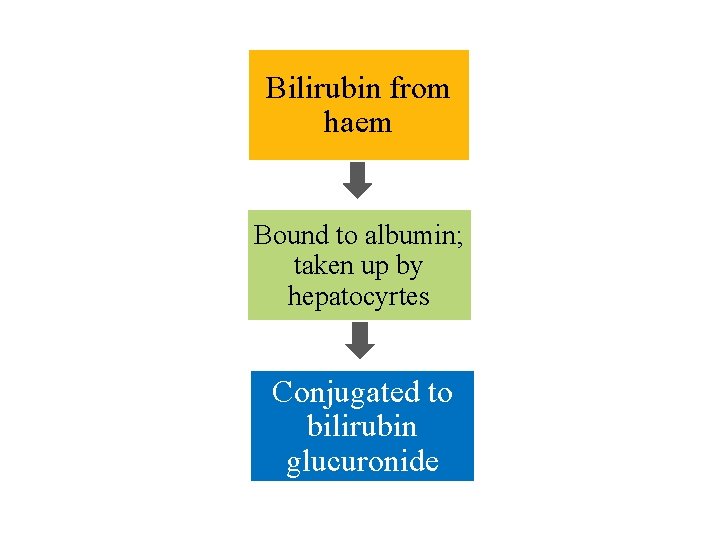 Bilirubin from haem Bound to albumin; taken up by hepatocyrtes Conjugated to bilirubin glucuronide
