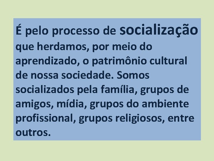 É pelo processo de socialização que herdamos, por meio do aprendizado, o patrimônio cultural