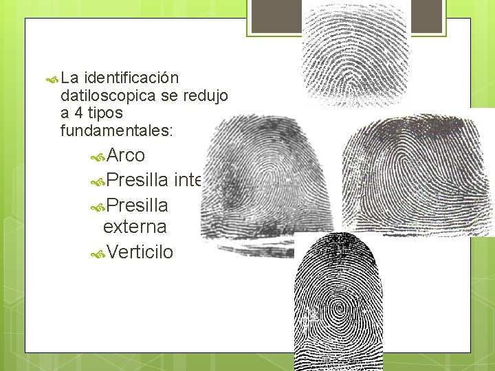  La identificación datiloscopica se redujo a 4 tipos fundamentales: Arco Presilla externa Verticilo