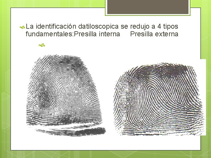  La identificación datiloscopica se redujo a 4 tipos fundamentales: Presilla interna Presilla externa