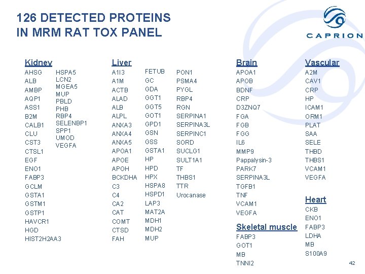 126 DETECTED PROTEINS IN MRM RAT TOX PANEL Kidney Liver HSPA 5 AHSG LCN