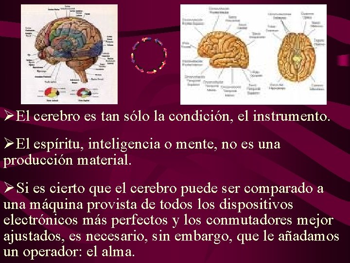 ØEl cerebro es tan sólo la condición, el instrumento. ØEl espíritu, inteligencia o mente, ØEl cerebro es tan sólo la condición, el instrumento. ØEl espíritu, inteligencia o mente,