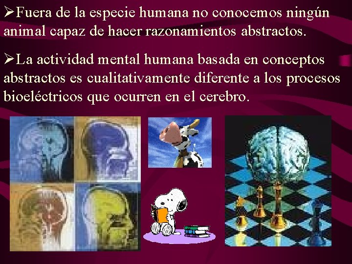 ØFuera de la especie humana no conocemos ningún animal capaz de hacer razonamientos abstractos. ØFuera de la especie humana no conocemos ningún animal capaz de hacer razonamientos abstractos.