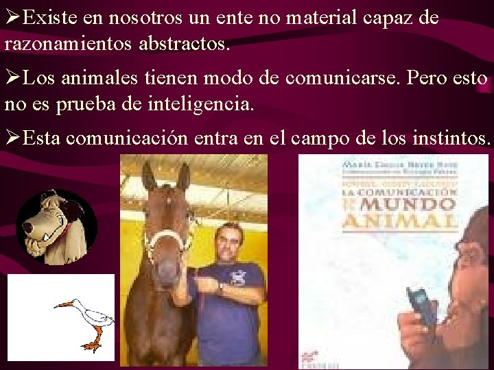ØExiste en nosotros un ente no material capaz de razonamientos abstractos. ØLos animales tienen ØExiste en nosotros un ente no material capaz de razonamientos abstractos. ØLos animales tienen