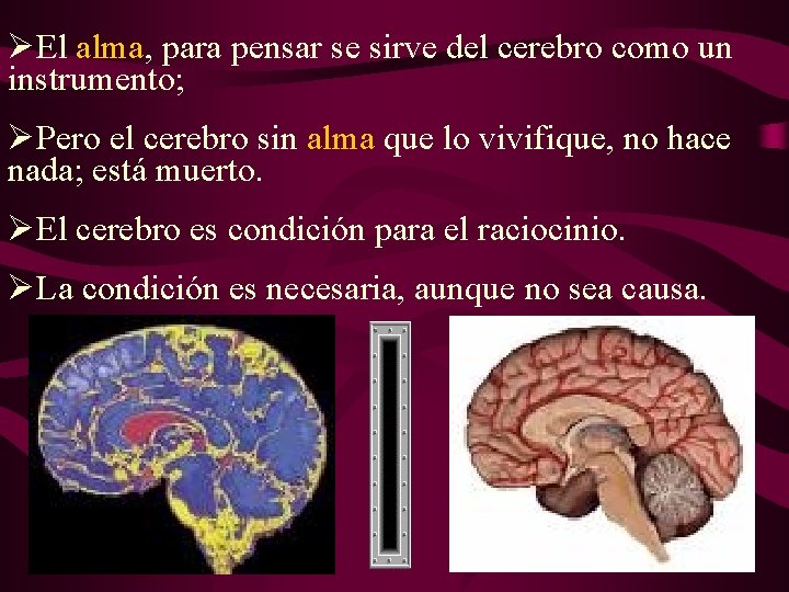 ØEl alma, para pensar se sirve del cerebro como un instrumento; ØPero el cerebro ØEl alma, para pensar se sirve del cerebro como un instrumento; ØPero el cerebro