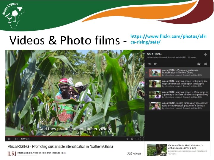 Videos & Photo films - https: //www. flickr. com/photos/afri ca-rising/sets/ 