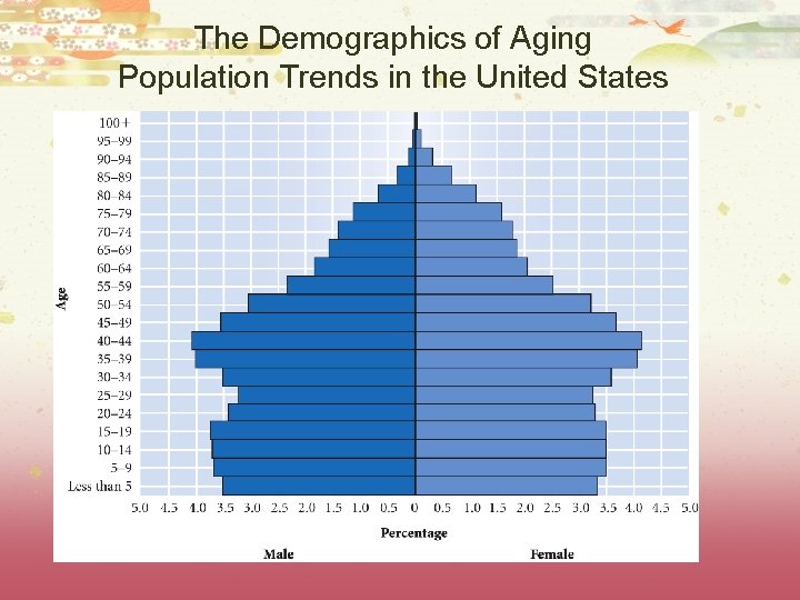 The Demographics of Aging Population Trends in the United States 