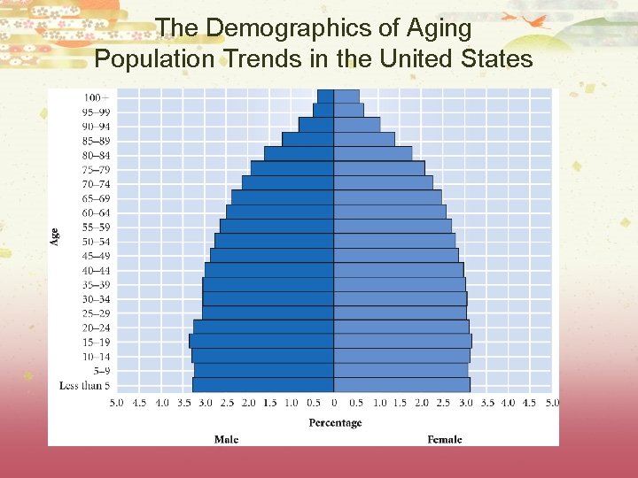 The Demographics of Aging Population Trends in the United States 