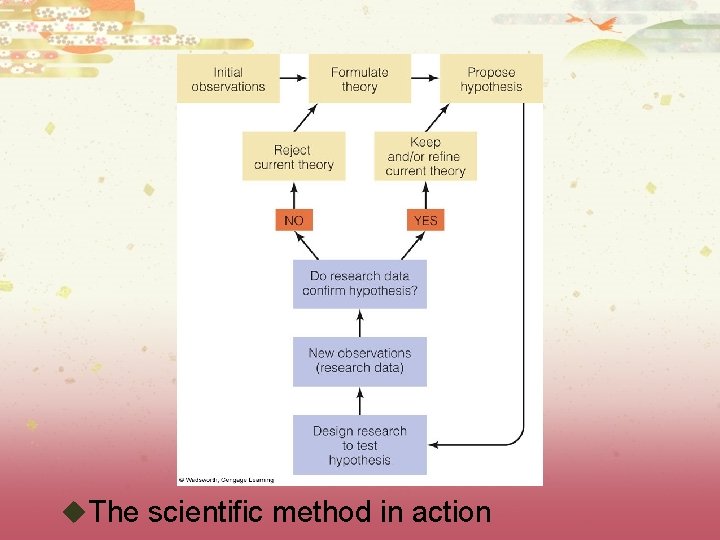 u. The scientific method in action 