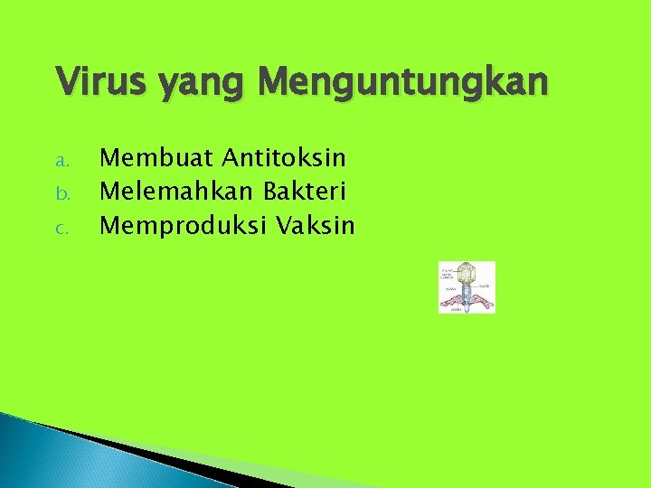 Virus yang Menguntungkan a. b. c. Membuat Antitoksin Melemahkan Bakteri Memproduksi Vaksin 