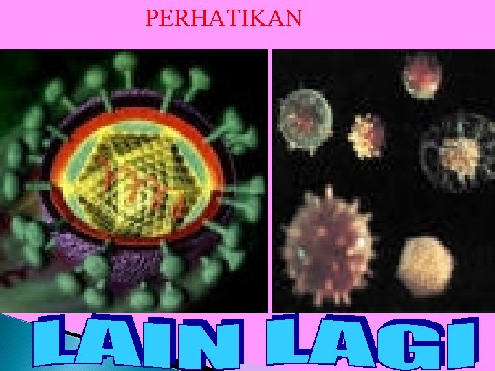 PERHATIKAN 