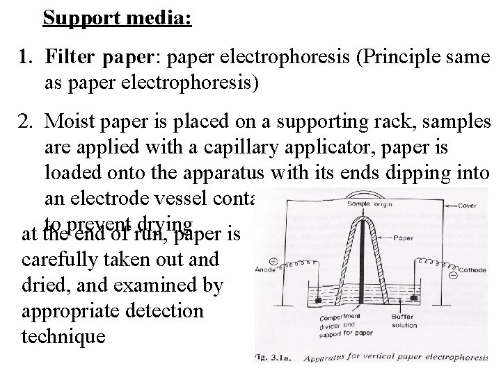 Support media: 1. Filter paper: paper electrophoresis (Principle same as paper electrophoresis) 2. Moist