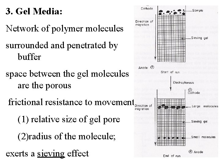 3. Gel Media: Network of polymer molecules surrounded and penetrated by buffer space between