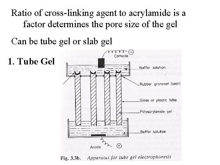 Ratio of cross-linking agent to acrylamide is a factor determines the pore size of