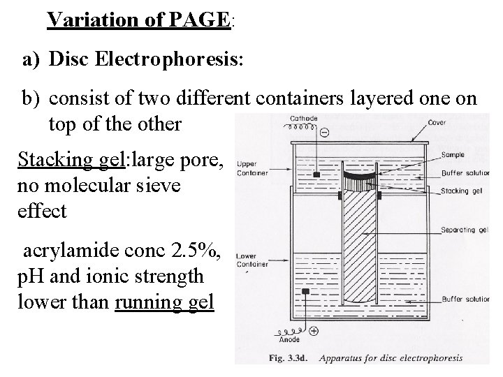 Variation of PAGE: a) Disc Electrophoresis: b) consist of two different containers layered one