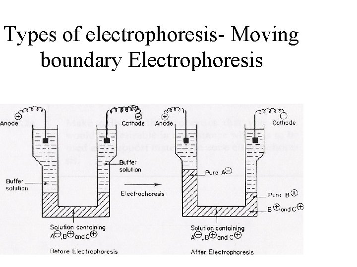 Types of electrophoresis- Moving boundary Electrophoresis 