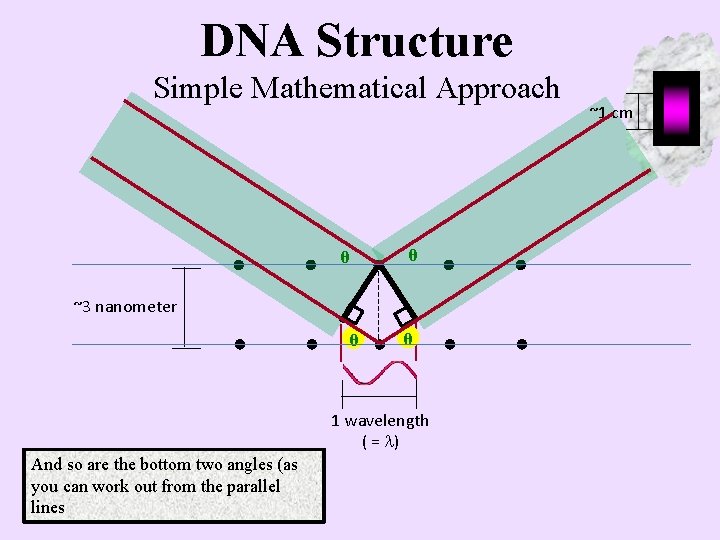 DNA Structure Simple Mathematical Approach θ θ ~3 nanometer θ θ 1 wavelength (