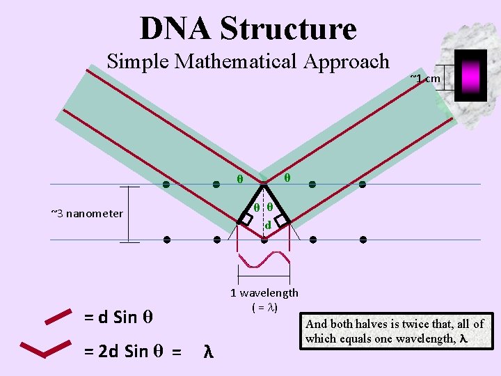DNA Structure Simple Mathematical Approach θ θ d ~3 nanometer 1 wavelength ( =