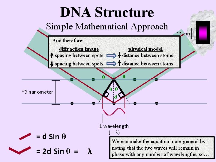 DNA Structure Simple Mathematical Approach ~1 cm And therefore: diffraction image spacing between spots