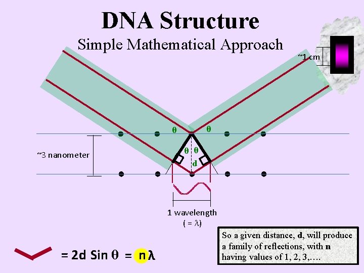 DNA Structure Simple Mathematical Approach θ θ ~3 nanometer ~1 cm θ θ d