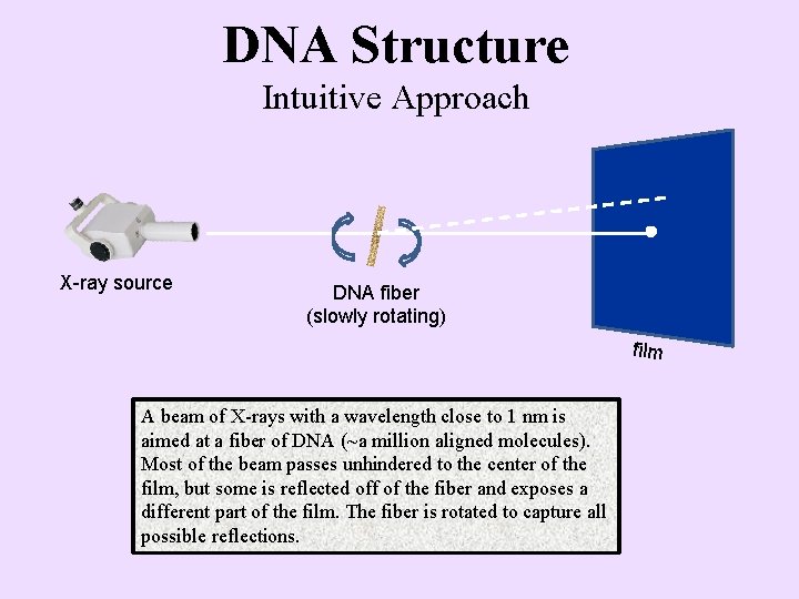 DNA Structure Intuitive Approach X-ray source DNA fiber (slowly rotating) film A beam of